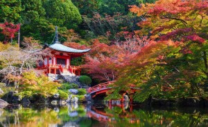 14-zajazd-japonsko-pre-kazdeho.jpg